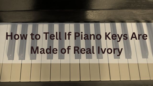 How to Tell If Piano Keys Are Ivory? Ivory keys of an old piano.
