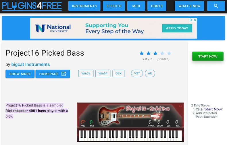 bigcat Instruments Project16 Picked Bass