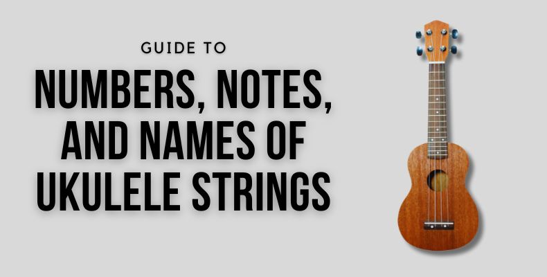 Numbers, Notes, And Names Of Ukulele Strings